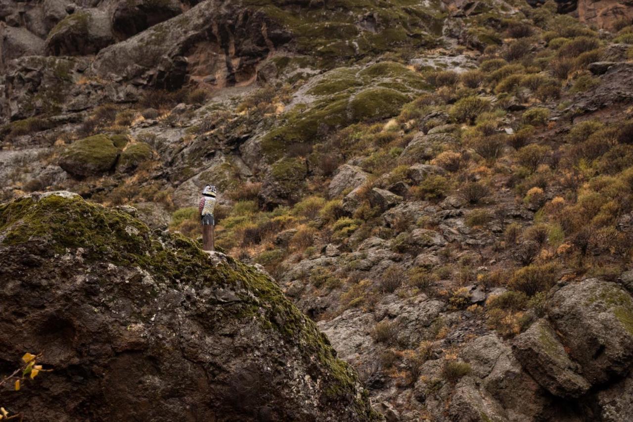 Willa La Vuelta Del Amo Las Palmas de Gran Canaria Zewnętrze zdjęcie